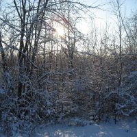 Зима :: Anna Ivanova