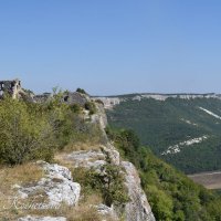 Природа Крыма :: Amazing Cosmea