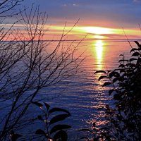 Черноморский закат :: Мишель71 