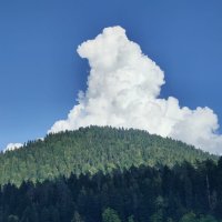 В Абхазии :: Ирэн 