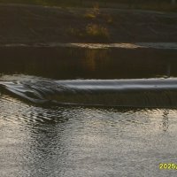 Водосброс :: fogmeadowww m