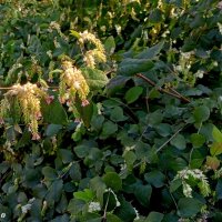 В ростовском экопарке Первая миля :: Нина Бутко