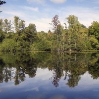 **** :: Андроник Александр **** :: Андроник Александр