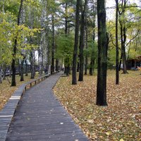 Осень в парке им. Горького :: Евгений Шафер Осень в парке им. Горького :: Евгений Шафер