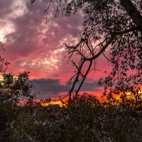 Закат. :: Сергей Воротников