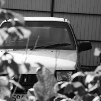 Автомобиль выходного дня :: Владимир Иванович