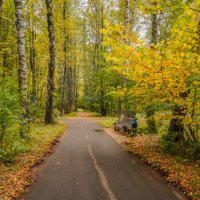 В осеннем парке... :: Владимир Жданов