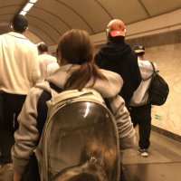 безбилетник :) :: zavitok *