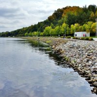 КОЛОМЕНСКОЕ :: АЛЕКСАНДР 