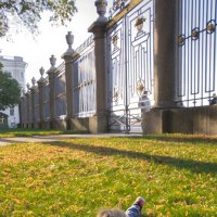 ... :: ВЛАДИМИР ... :: ВЛАДИМИР