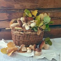 Грибной сентябрь :: Galina Solovova