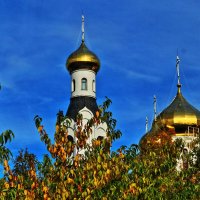 Свято-Духов храм золотой осенью! :: Владимир 