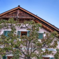 --- :: vladimir --- :: vladimir