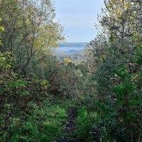 - :: Владимир Мигонькин