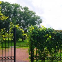 ПРЕДОСЕННЕЕ :: Виктор Никитенко