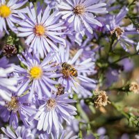 Труд :: Тамара Федорова