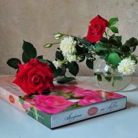 По поводу..... :: Валентина Богатко 