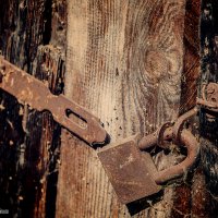 Из серии "Все ушли" :: Алексей Трифонов