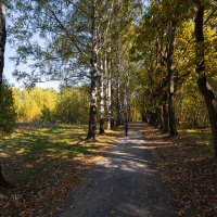 Экотропа Бурнаковская низина :: Александр Синдерёв