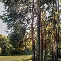 У парка :: sorovey Sol