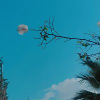 13  ОПЕН (430) :: OPEN WAYS ALL