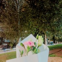 13  ОПЕН (436) :: OPEN WAYS ALL