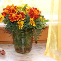 Осень :: Венера Чуйкова