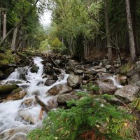 Горные реки...Архыз :: Evgeny Mameev