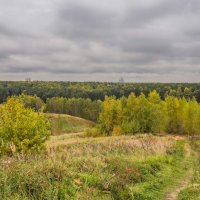 Палитра сентября... :: Владимир Жданов