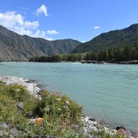 На берегу Катуни. :: Валерий Медведев На берегу Катуни. :: Валерий Медведев