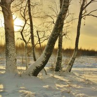восход в январе :: Сергей Лычагин