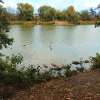 *** :: (Владимир С)