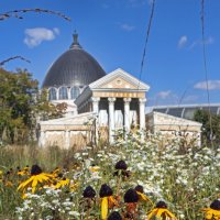 Сентябрь на ВДНХ :: Михаил Бибичков Сентябрь на ВДНХ :: Михаил Бибичков