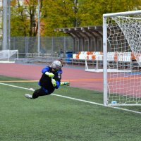 *** :: Наталья Вязигина