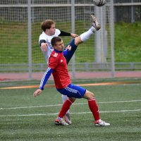 *** :: Наталья Вязигина