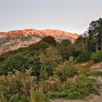 ГУАМСКОЕ УЩЕЛЬЕ :: Tata Wolf