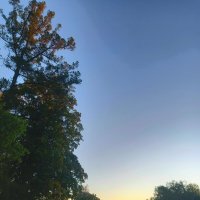 Рассвет :: Сапсан 