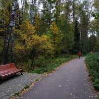 Осень не первоначальная :: Андрей Лукьянов