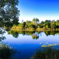 Осень в конце сентября. :: Милешкин Владимир Алексеевич Осень в конце сентября. :: Милешкин Владимир Алексеевич