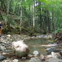 Гуамское ущелье :: Tata Wolf