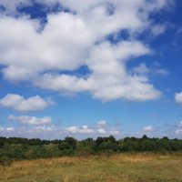 ЛАГОНАКИ :: Tata Wolf ЛАГОНАКИ :: Tata Wolf