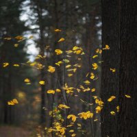 * :: Александр Иванов * :: Александр Иванов