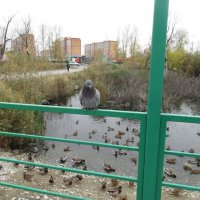 Уткин Дом :: Андрей Макурин Уткин Дом :: Андрей Макурин