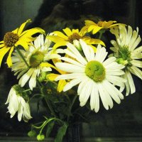 Осенний букетик :: Людмила Смородинская