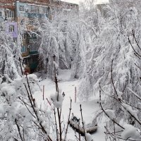 Зима :: Александр Лычагин