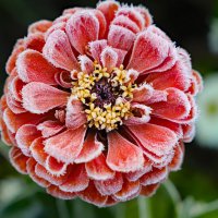 30 сентября :: краснов юрий 