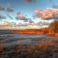 *** :: Сергей Григорьев