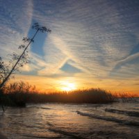 *** :: Сергей Григорьев