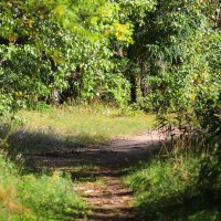 В парке :: Андрей Л. В.