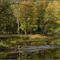 Очей очарованье... :: Aleksandr Gal